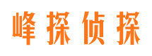 林芝市婚姻调查